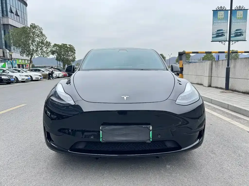 Tesla Model Y — фото 6