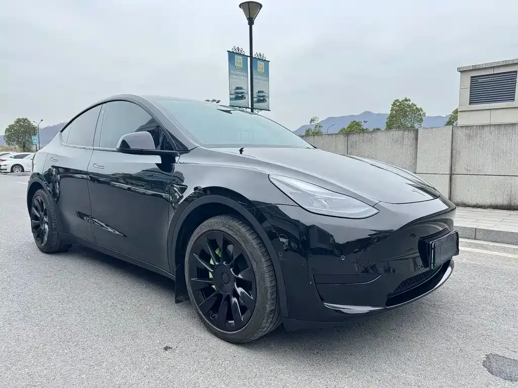 Tesla Model Y — фото 7