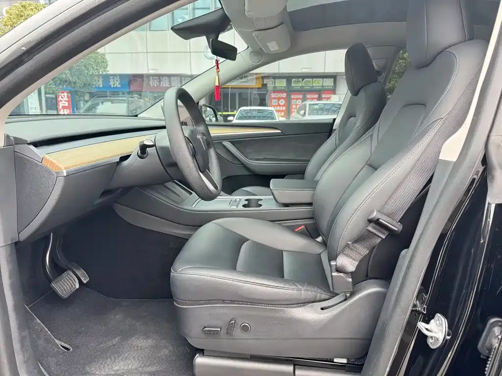Tesla Model Y — фото 10