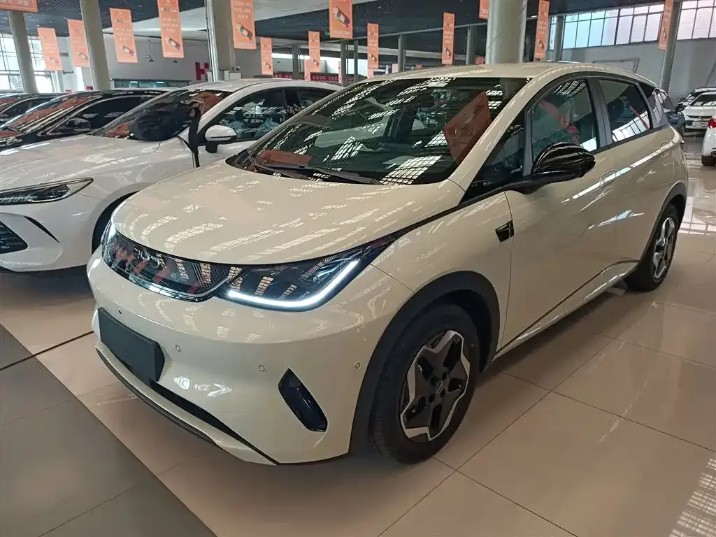 [object Object] Dolphin 2025 из CN, фото 2