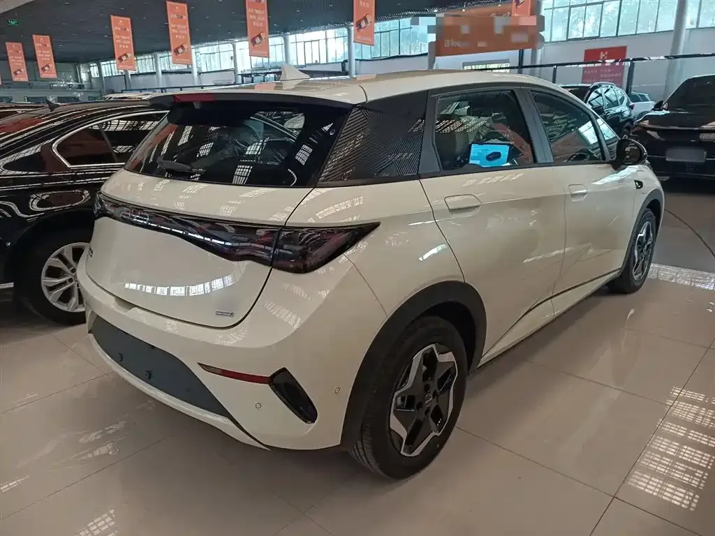 [object Object] Dolphin 2025 из CN, фото 7