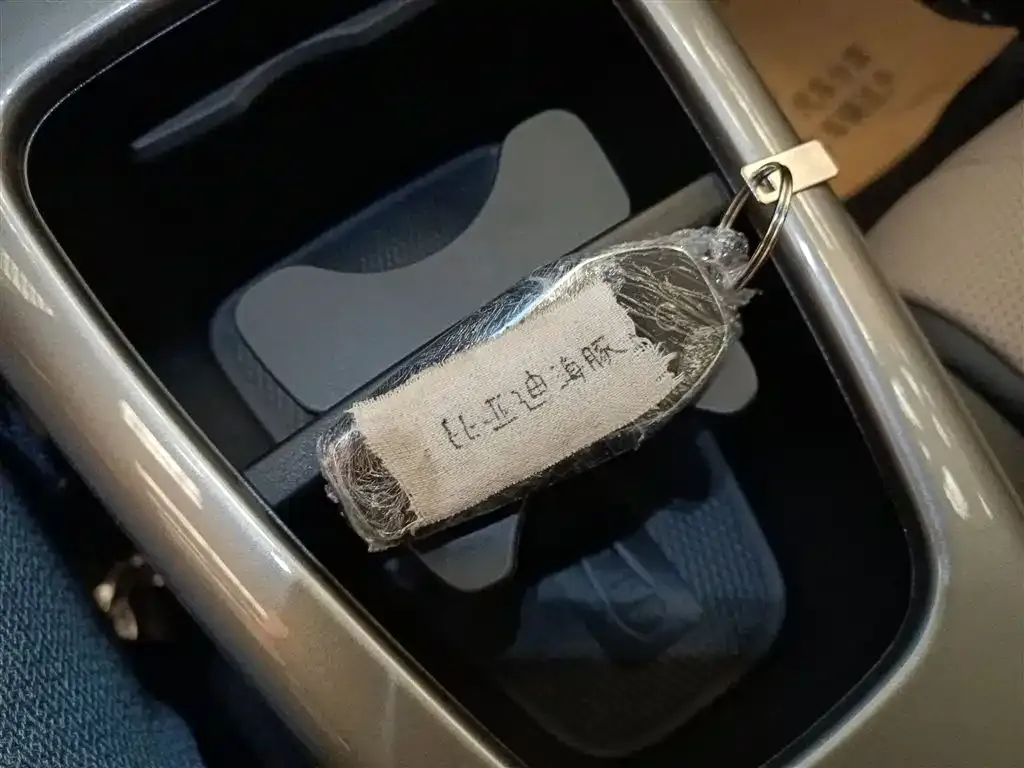 [object Object] Dolphin 2025 из CN, фото 9