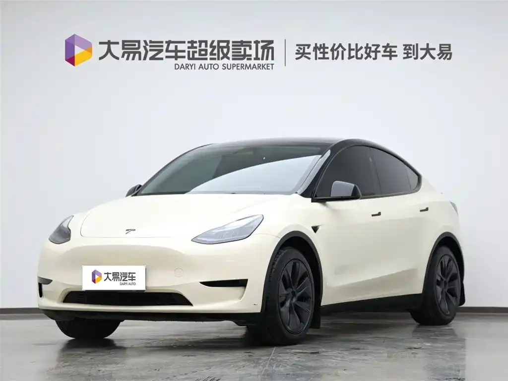 Tesla Model Y — фото 1