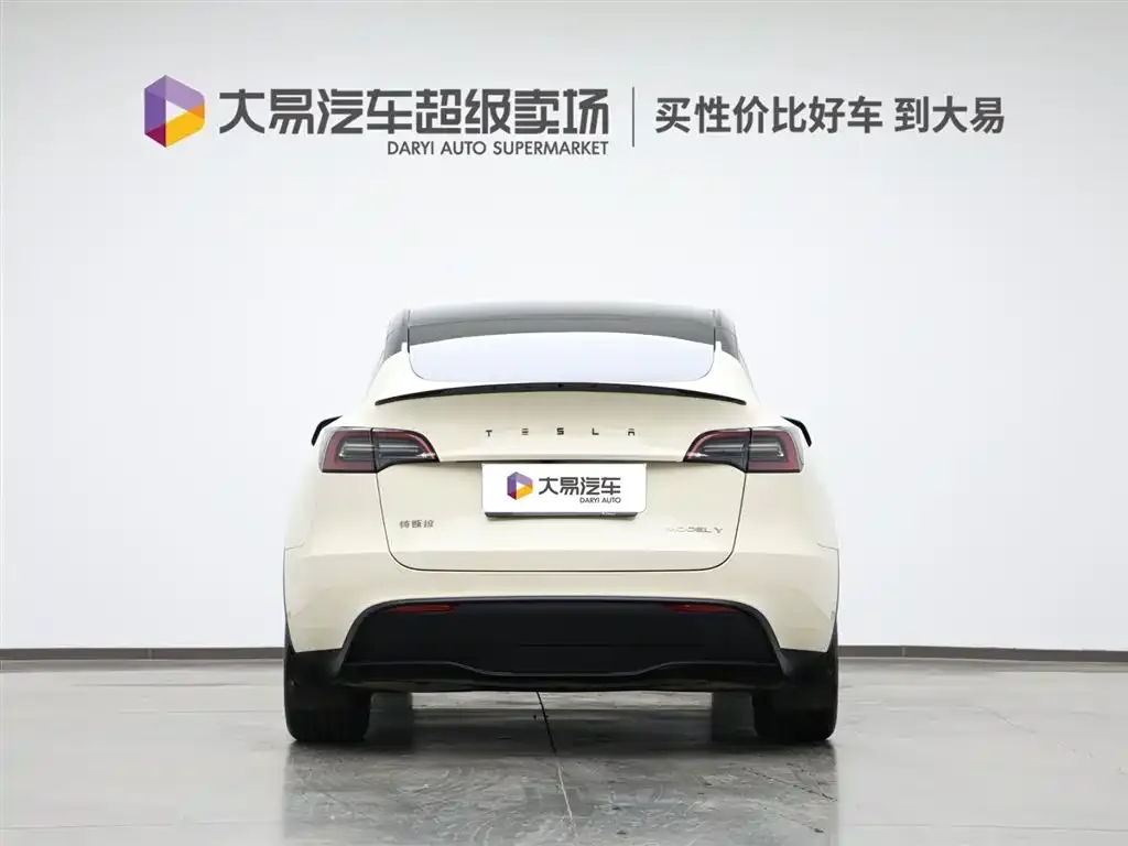 Tesla Model Y — фото 8