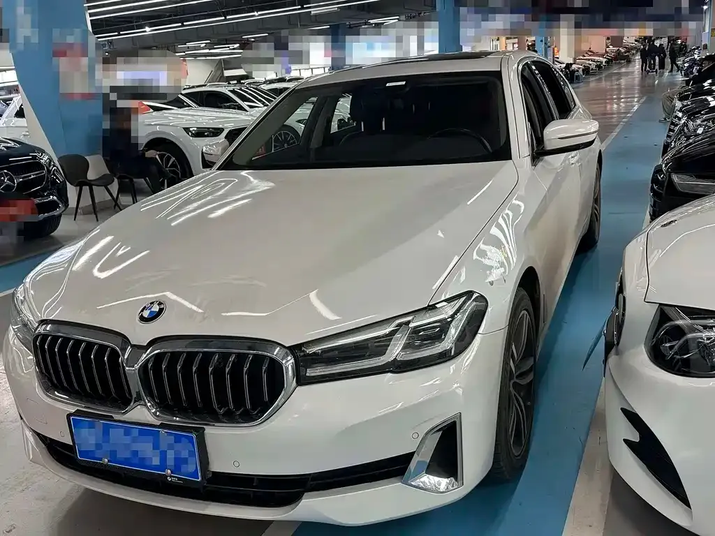 BMW 5 Series 2021 из CN, фото 1