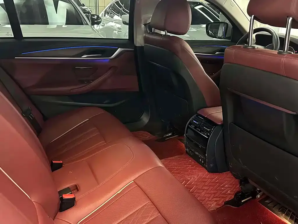 BMW 5 Series 2021 из CN, фото 2