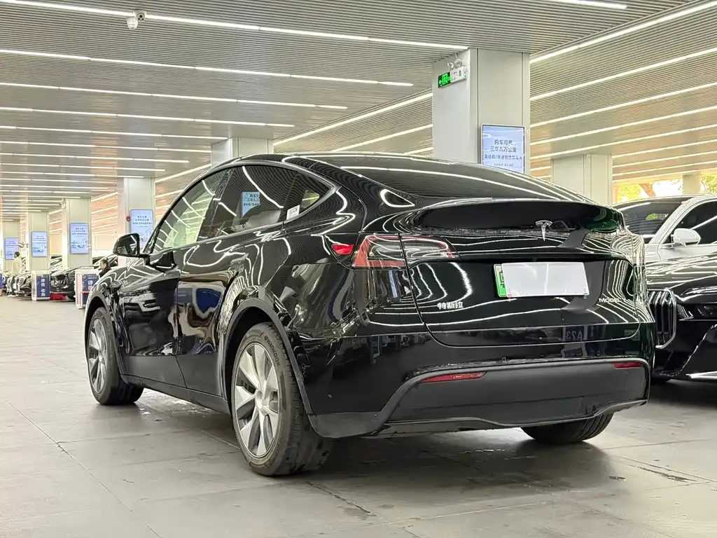 Tesla Model Y — фото 5