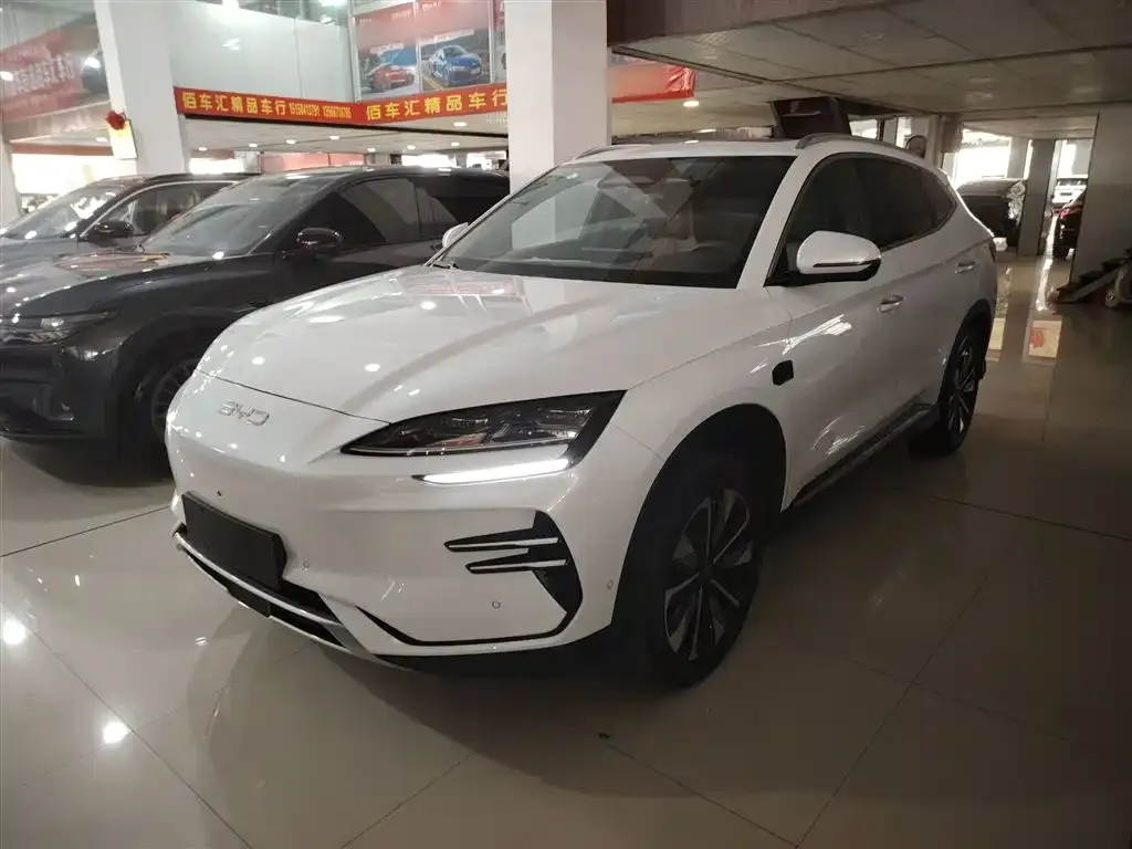BYD PLUS New Energy — фото 1