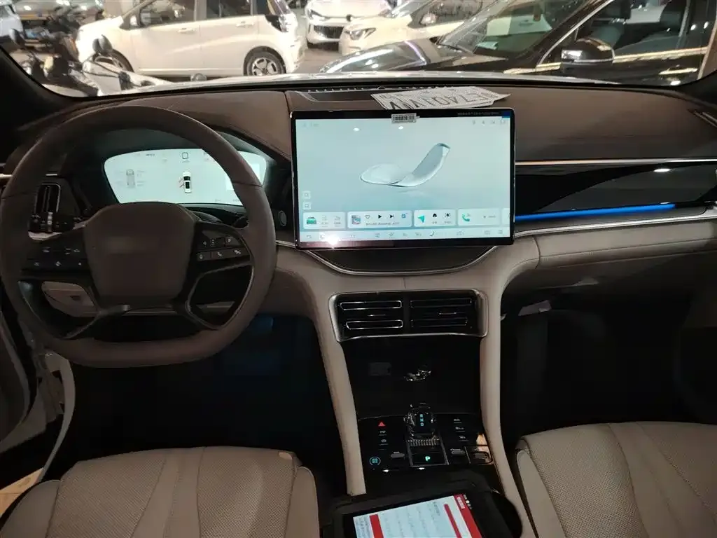 BYD PLUS New Energy — фото 10