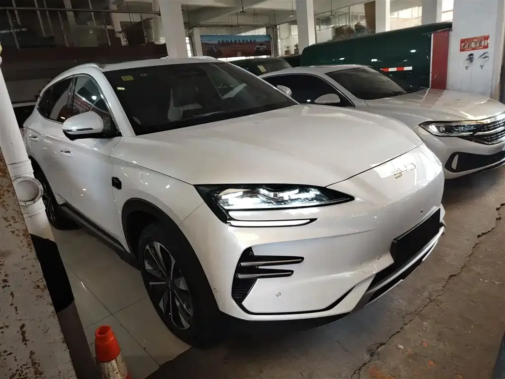 BYD PLUS New Energy — фото 9
