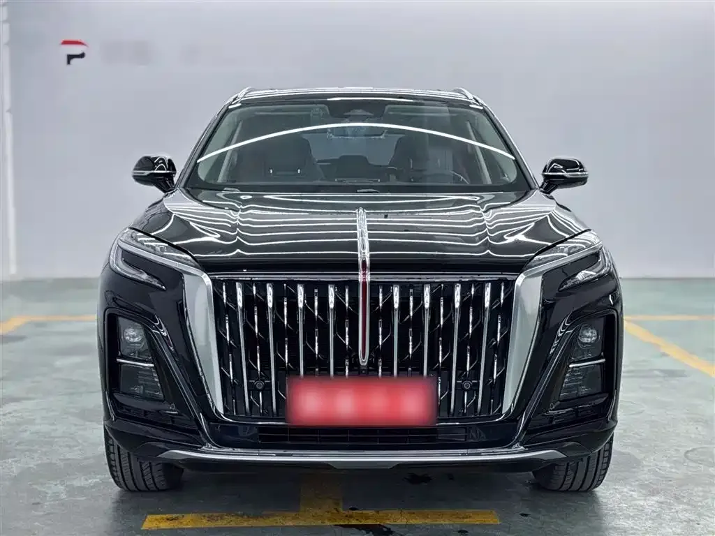 Hongqi HS3 2023 из CN, фото 9