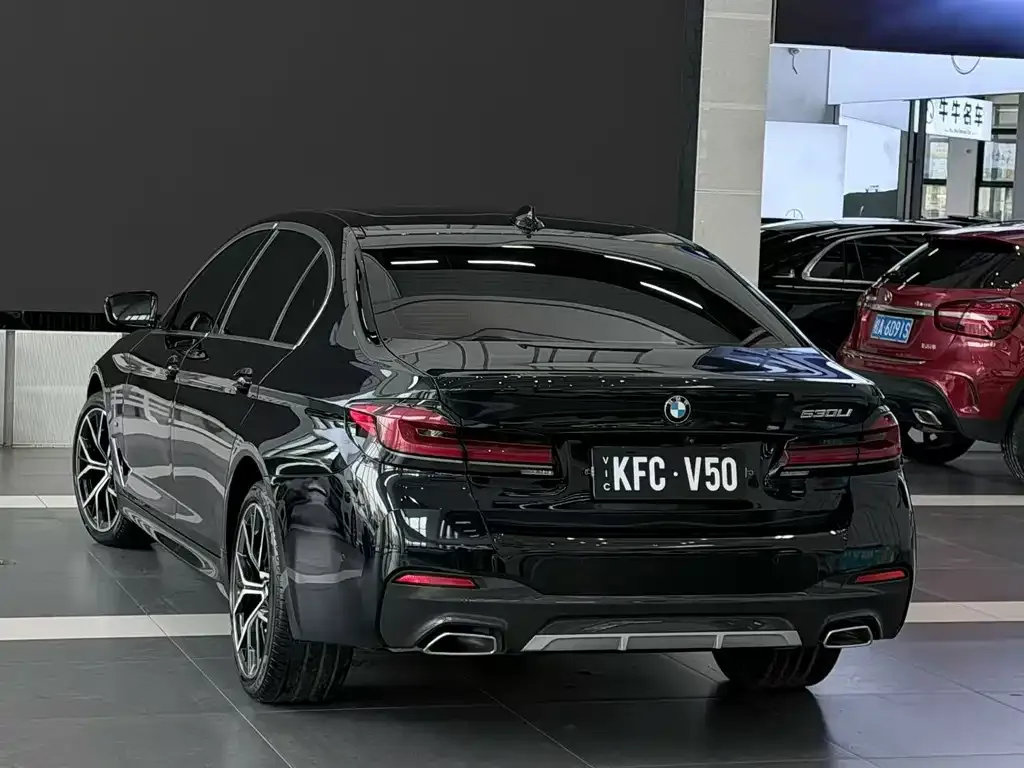 BMW 5 Series 2021 из CN, фото 3