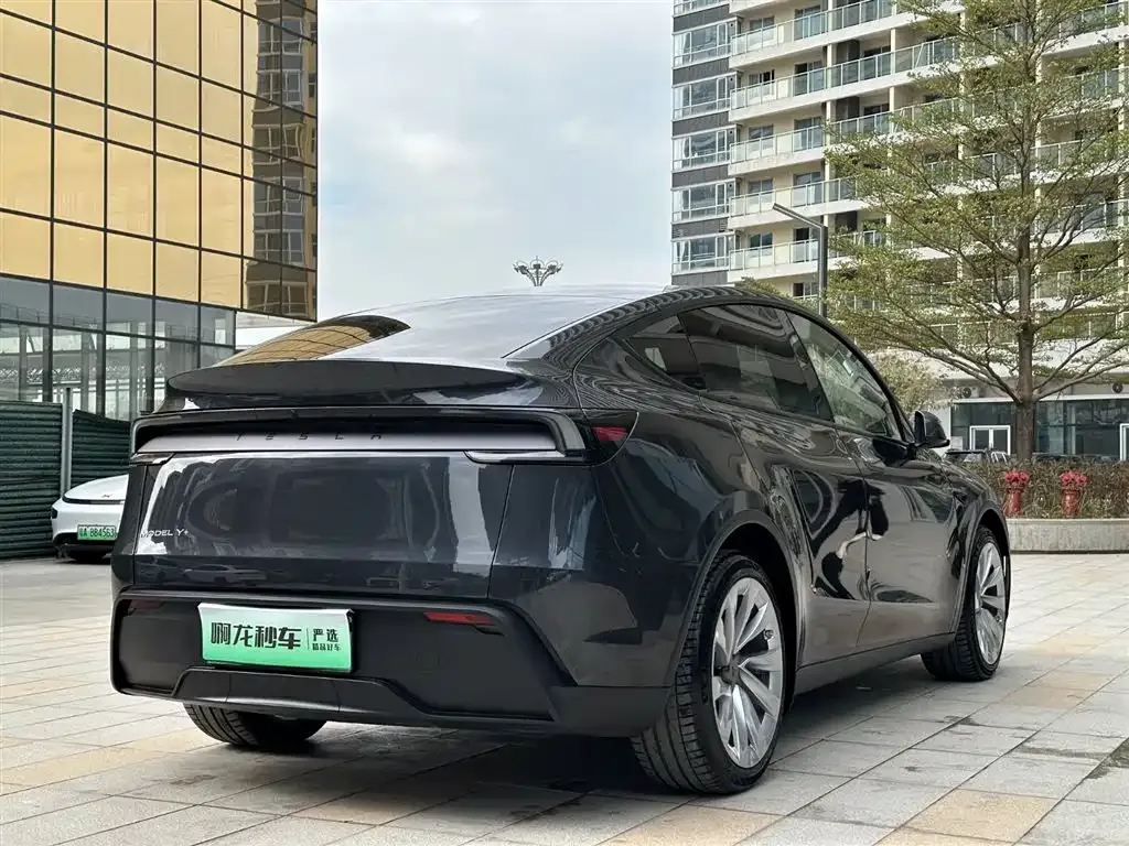 Tesla Model Y — фото 9
