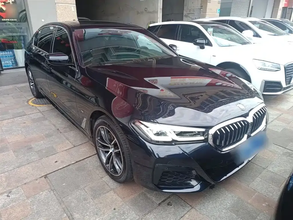 BMW 5 Series 2023 из CN, фото 9