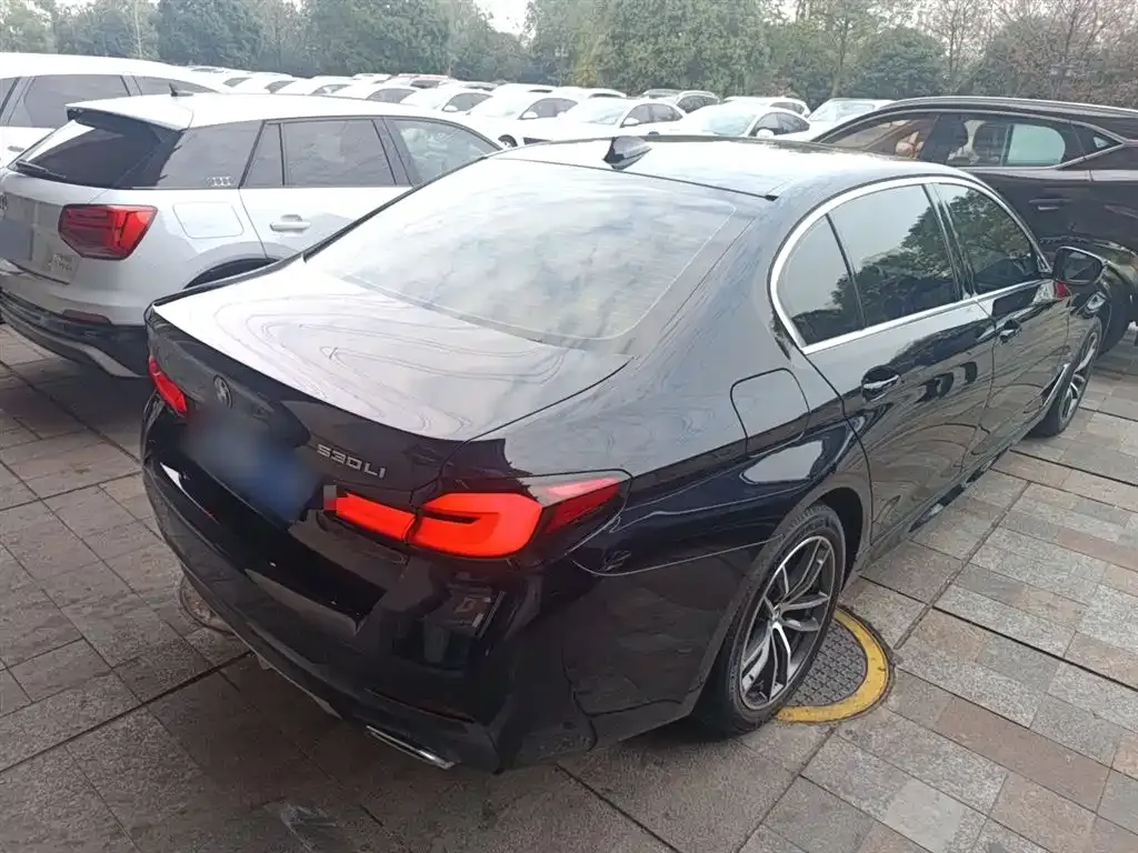 BMW 5 Series 2023 из CN, фото 3