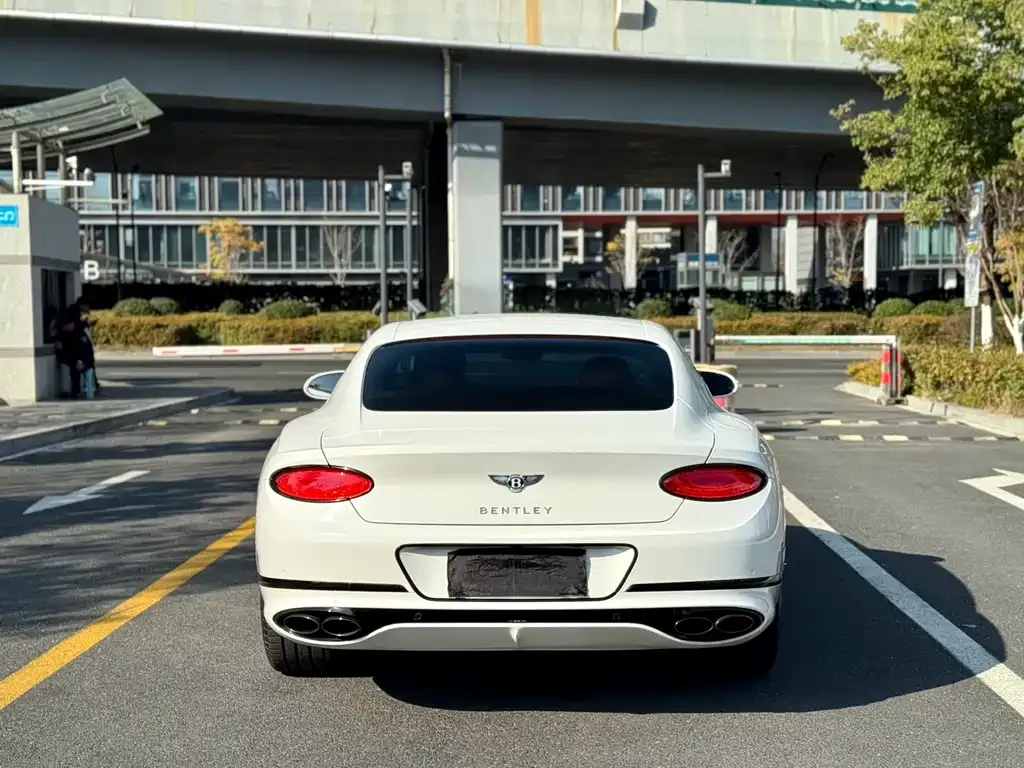 Bentley Continental 2022 из CN, фото 9
