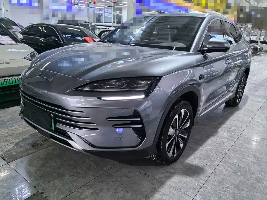 BYD PLUS New Energy — фото 1