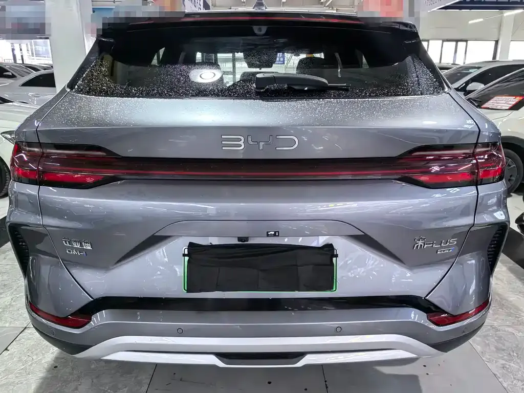 BYD PLUS New Energy — фото 5