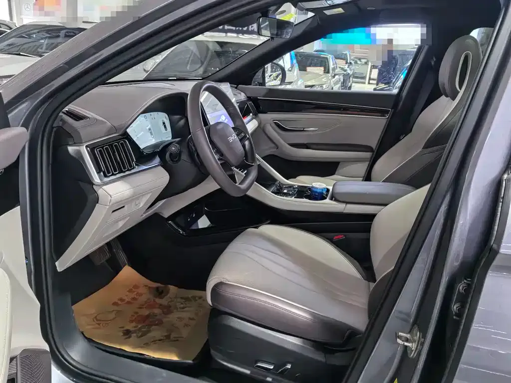 BYD PLUS New Energy — фото 8
