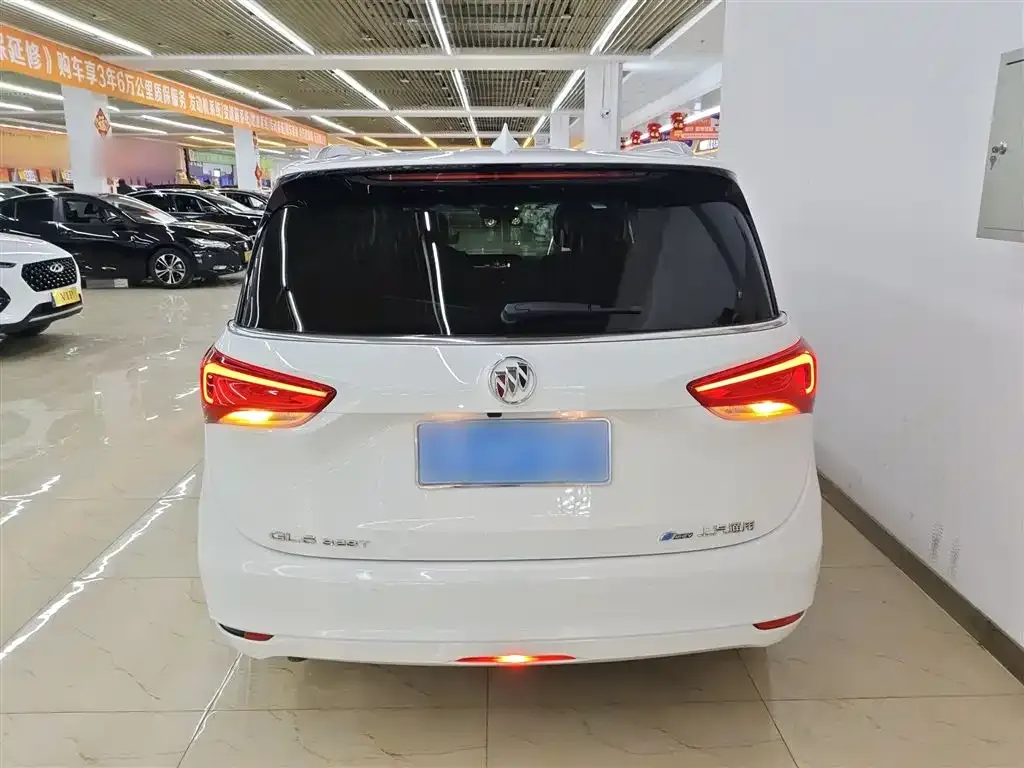 Buick GL6 2022 из CN, фото 10