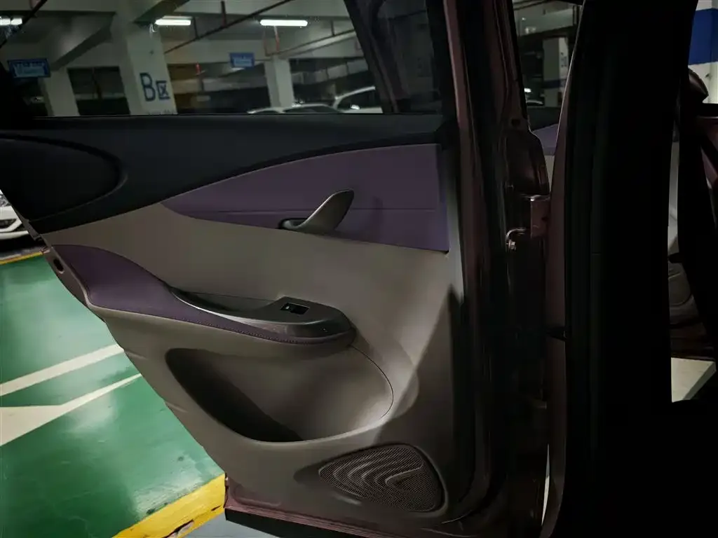 [object Object] Dolphin 2022 из CN, фото 10