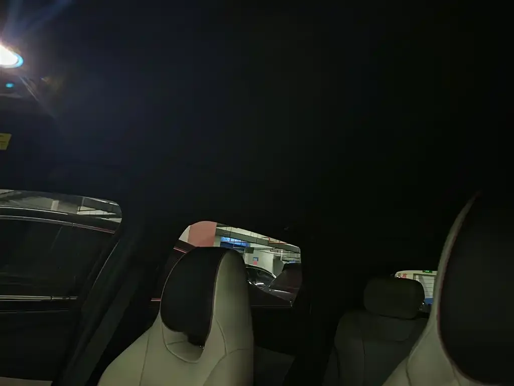 [object Object] Dolphin 2022 из CN, фото 2