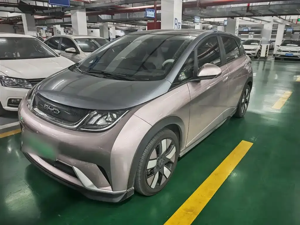 [object Object] Dolphin 2022 из CN, фото 3