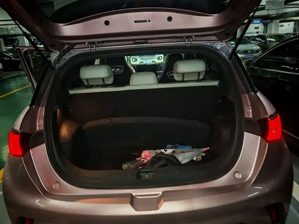 [object Object] Dolphin 2022 из CN, фото 4