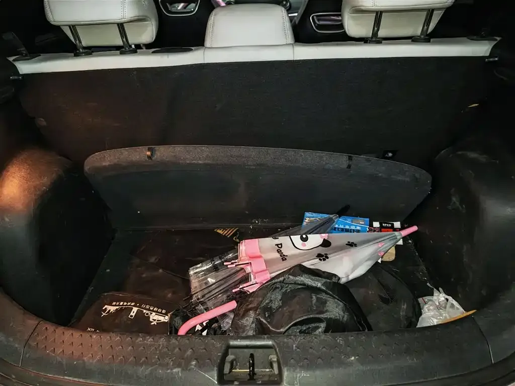 [object Object] Dolphin 2022 из CN, фото 5