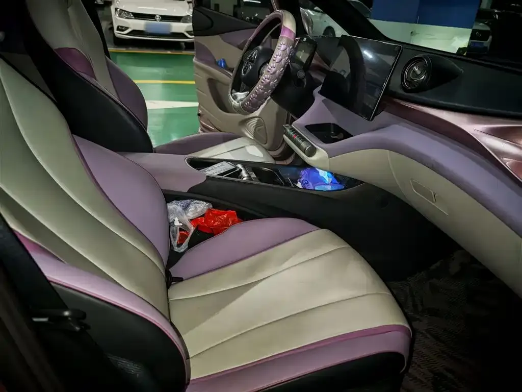 [object Object] Dolphin 2022 из CN, фото 8