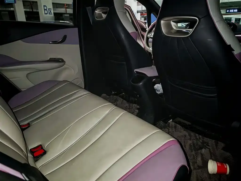 [object Object] Dolphin 2022 из CN, фото 9