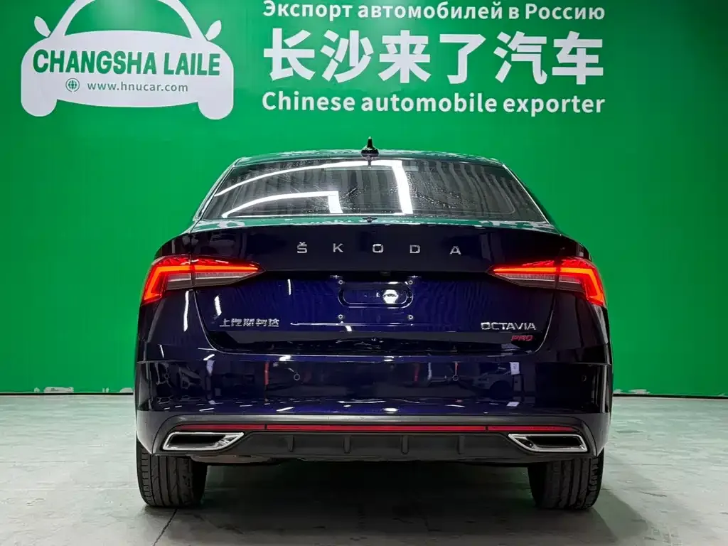 Skoda Octavia 2021 из CN, фото 3