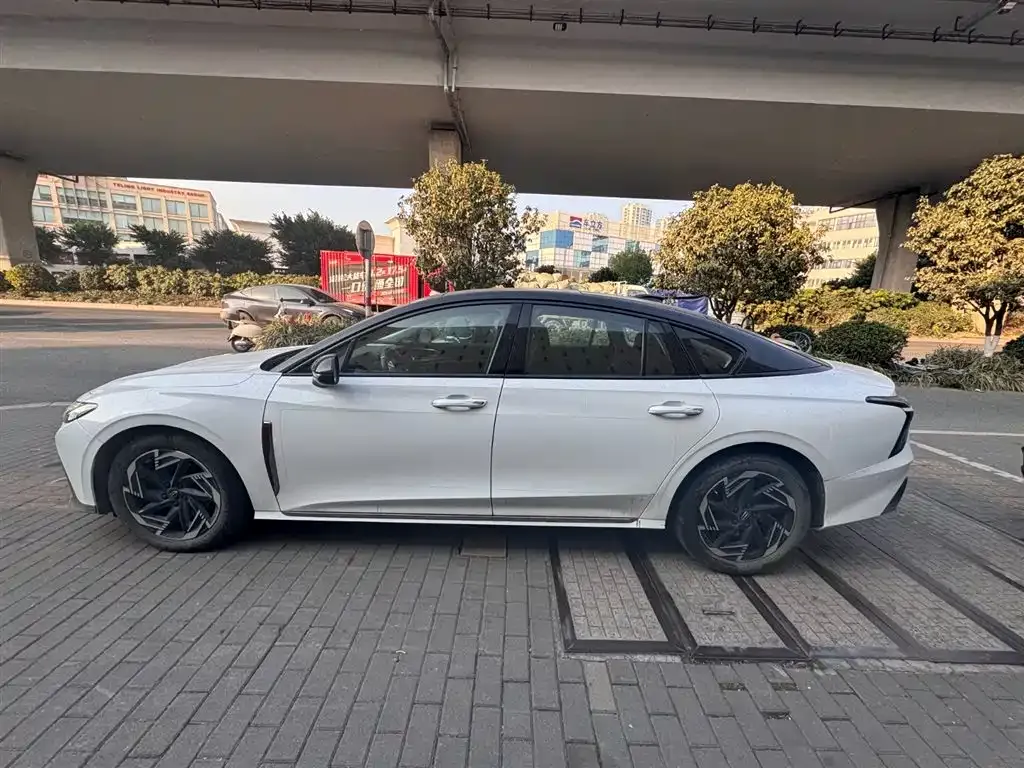 Hongqi H6 2023 из CN, фото 10