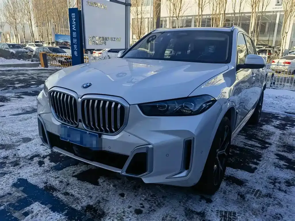 BMW X5 2024 из CN, фото 1