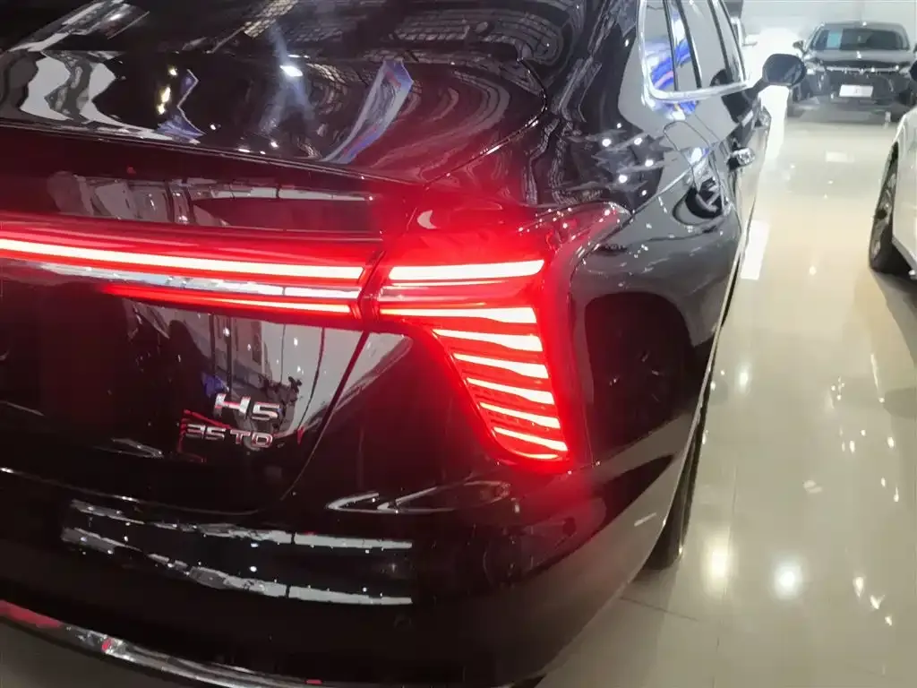 Hongqi H5 2024 из CN, фото 8