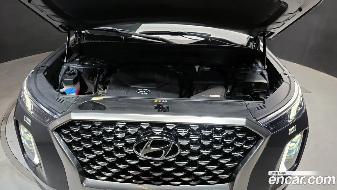 Hyundai Palisade — фото 6
