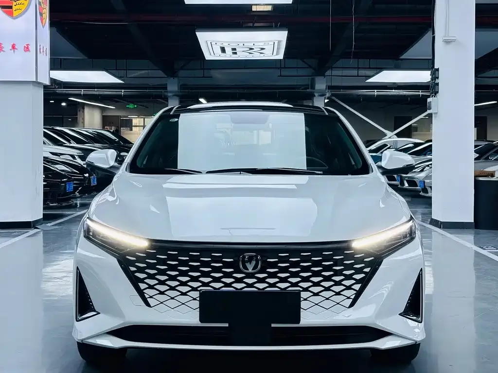 Changan Ruicheng PLUS 2025 из CN, фото 7