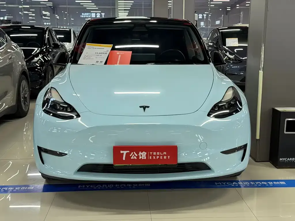 Tesla Model Y — фото 3