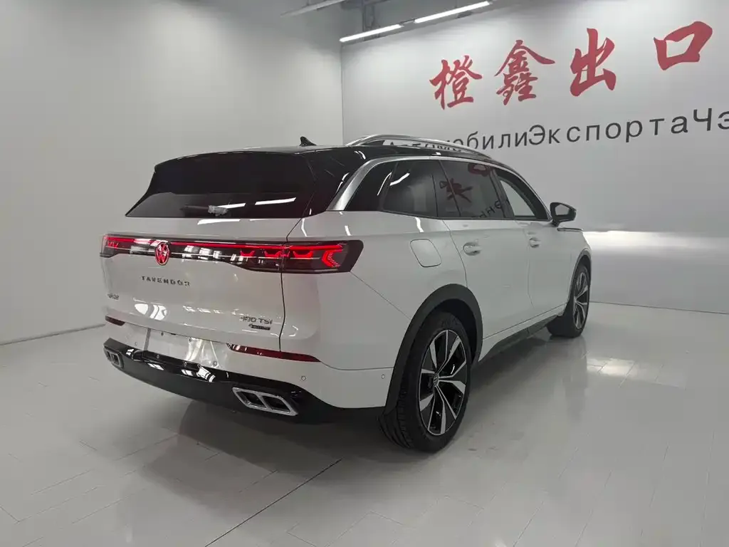Volkswagen Tavendor 2022 из CN, фото 5