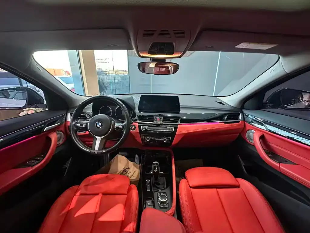 BMW X2 2023 из CN, фото 10