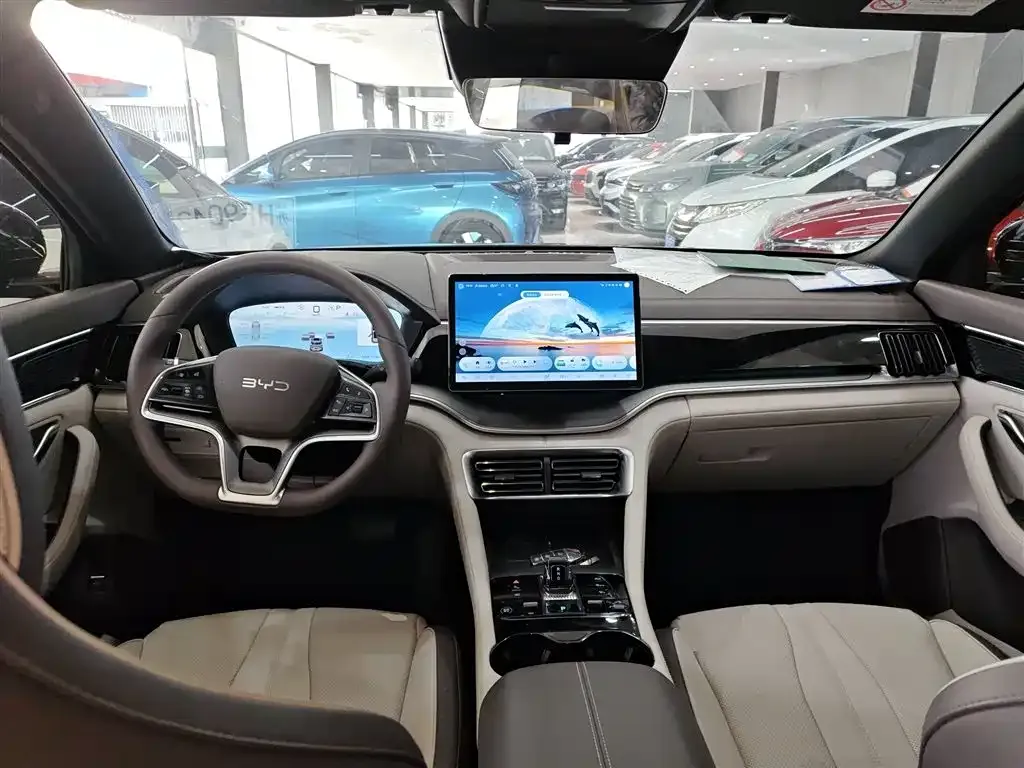 BYD PLUS New Energy 2024 из CN, фото 10