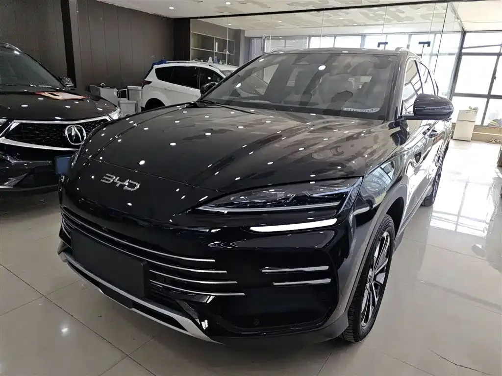 BYD PLUS New Energy 2024 из CN, фото 2