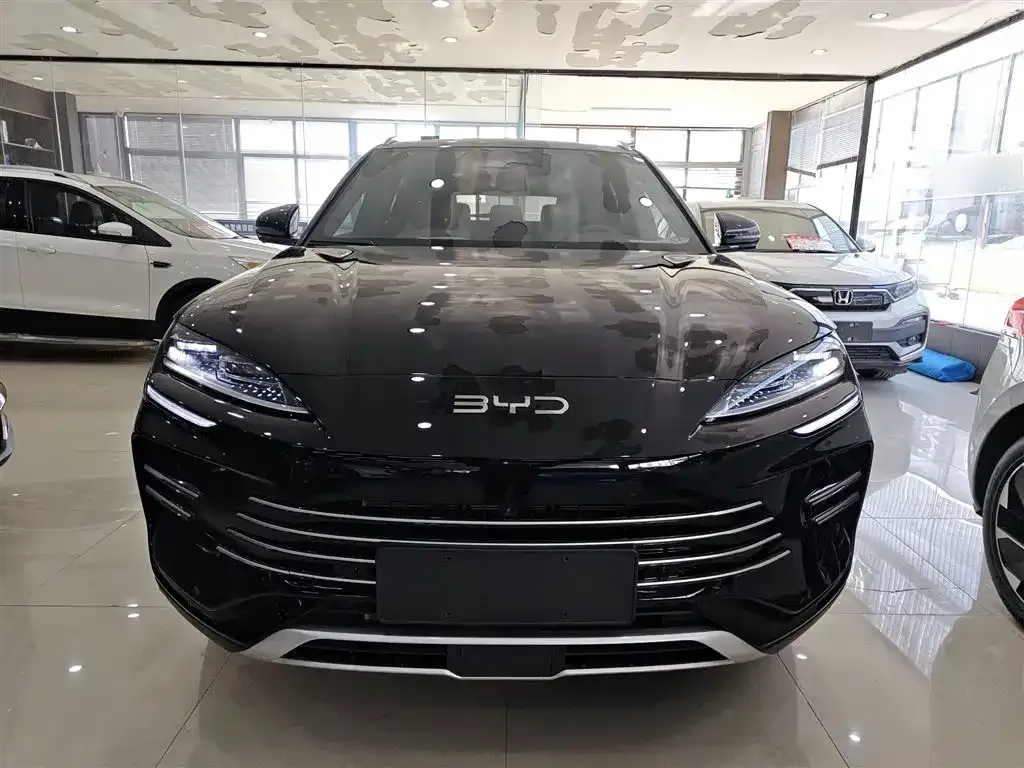 BYD PLUS New Energy 2024 из CN, фото 3