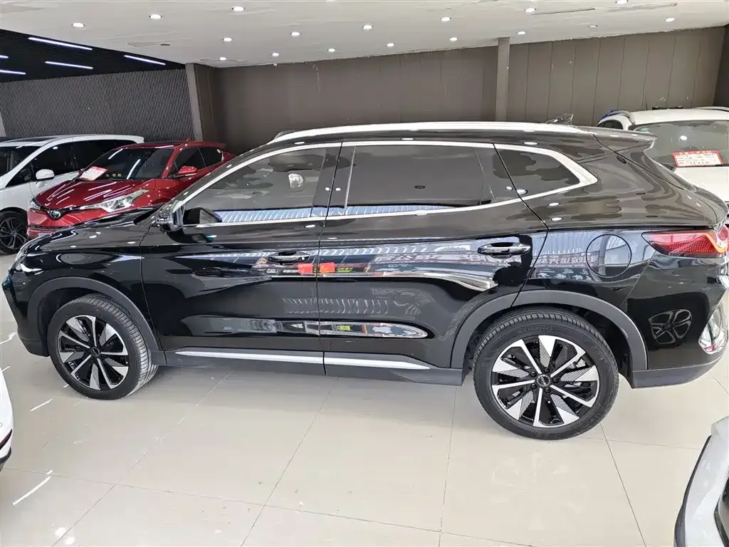BYD PLUS New Energy 2024 из CN, фото 5