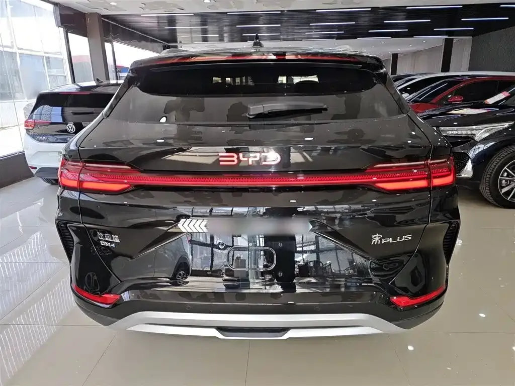 BYD PLUS New Energy 2024 из CN, фото 6