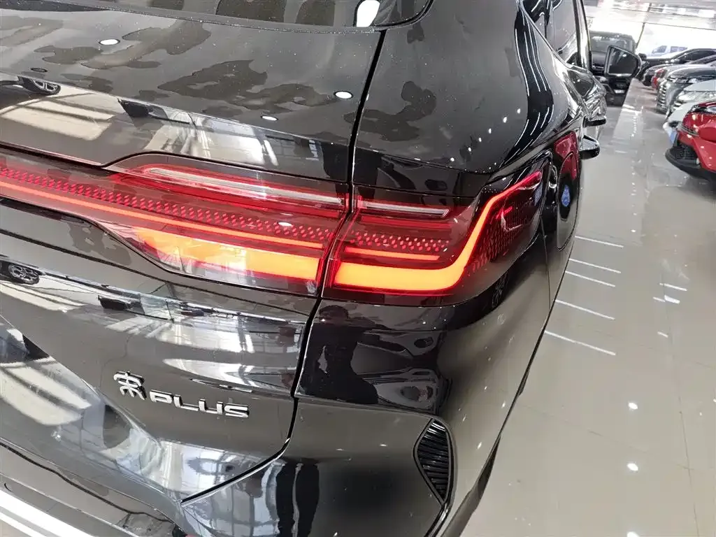 BYD PLUS New Energy 2024 из CN, фото 9