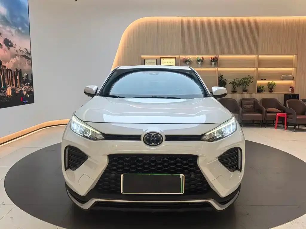 Toyota Wildlander New Energy 2021 из CN, фото 9