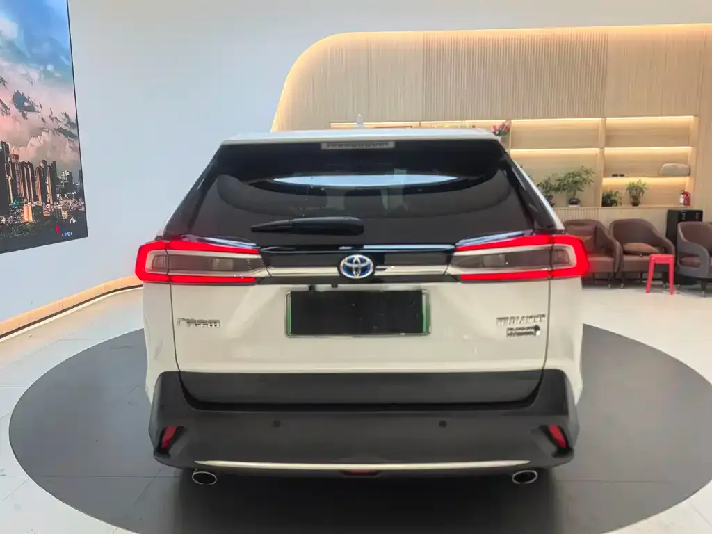 Toyota Wildlander New Energy 2021 из CN, фото 10