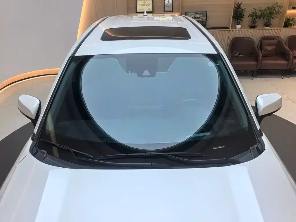 Toyota Wildlander New Energy 2021 из CN, фото 2