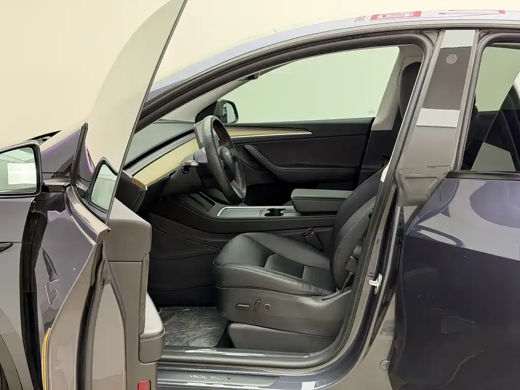 Tesla Model Y 2023 из CN, фото 6
